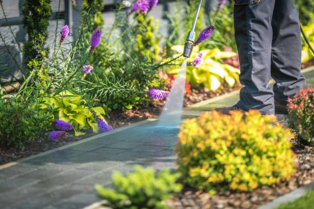 Trusted Portland, MI Pressure Washing Services Experts