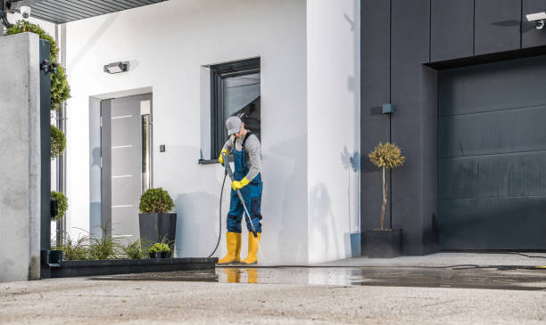 Best Fence Cleaning  in Portland, MI